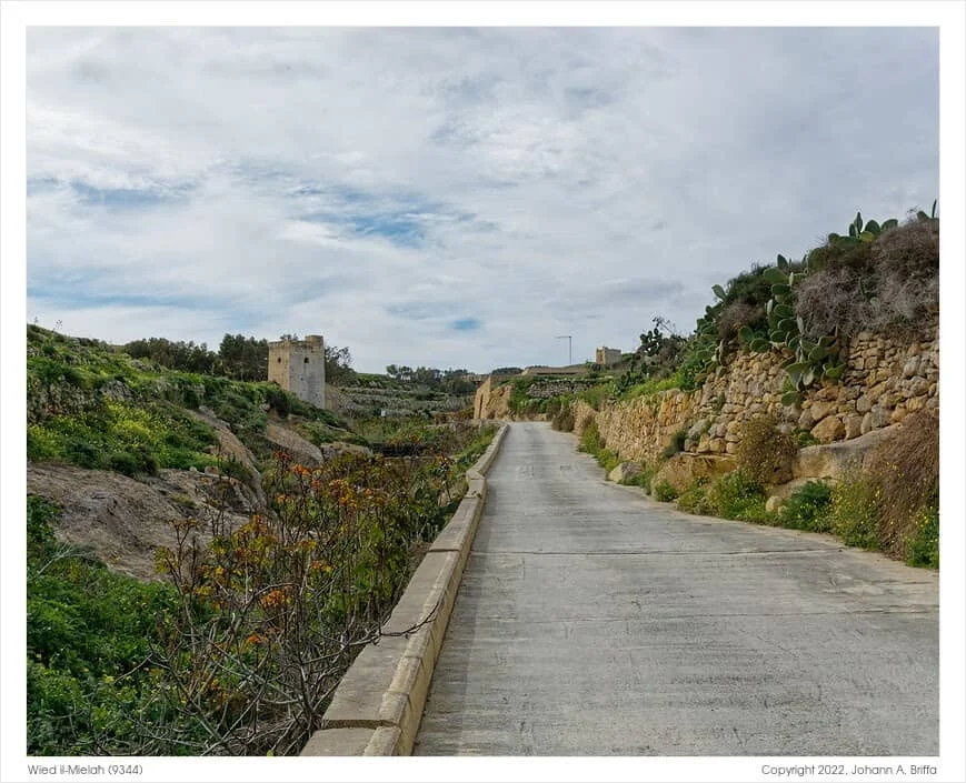 Għarb to Wied il-Mielaħ walk in Gozo